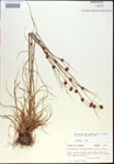 000021289-thumbnail.jpg