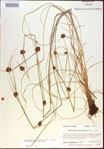 000021290-thumbnail.jpg