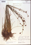 000021292-thumbnail.jpg