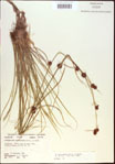 000021293-thumbnail.jpg