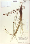000021294-thumbnail.jpg