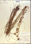 000021295-thumbnail.jpg