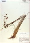 000021297-thumbnail.jpg