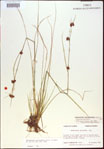 000021299-thumbnail.jpg