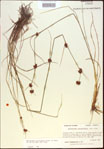 000021300-thumbnail.jpg