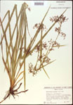 000021302-thumbnail.jpg