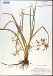 000021303-thumbnail.jpg