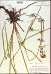 000021304-thumbnail.jpg
