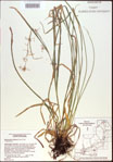 000021305-thumbnail.jpg