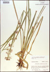 000021306-thumbnail.jpg