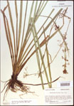 000021307-thumbnail.jpg