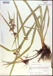 000021308-thumbnail.jpg