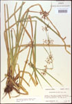 000021309-thumbnail.jpg