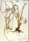000021310-thumbnail.jpg