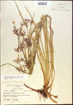 000021311-thumbnail.jpg