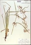 000021312-thumbnail.jpg