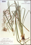 000021313-thumbnail.jpg