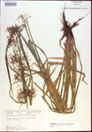 000021314-thumbnail.jpg