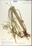 000021315-thumbnail.jpg