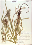 000021316-thumbnail.jpg