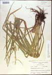000021317-thumbnail.jpg