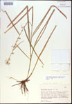 000021318-thumbnail.jpg