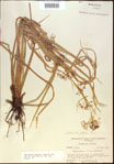 000021319-thumbnail.jpg