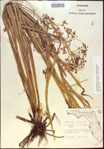 000021320-thumbnail.jpg
