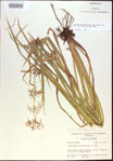000021321-thumbnail.jpg