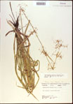 000021323-thumbnail.jpg