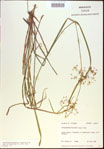 000021324-thumbnail.jpg