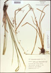 000021325-thumbnail.jpg