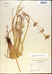 000021326-thumbnail.jpg