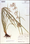 000021327-thumbnail.jpg