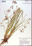 000021328-thumbnail.jpg