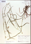 000021329-thumbnail.jpg