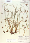 000021330-thumbnail.jpg