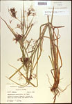 000021331-thumbnail.jpg