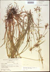 000021333-thumbnail.jpg