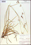 000021334-thumbnail.jpg