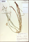 000021336-thumbnail.jpg