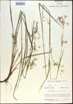 000021337-thumbnail.jpg