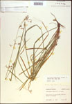 000021338-thumbnail.jpg