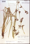 000021339-thumbnail.jpg