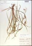 000021340-thumbnail.jpg