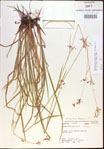 000021341-thumbnail.jpg