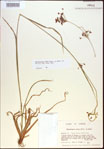 000021342-thumbnail.jpg