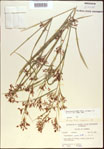 000021343-thumbnail.jpg