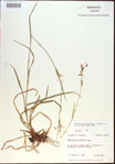 000021344-thumbnail.jpg