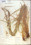 000021345-thumbnail.jpg
